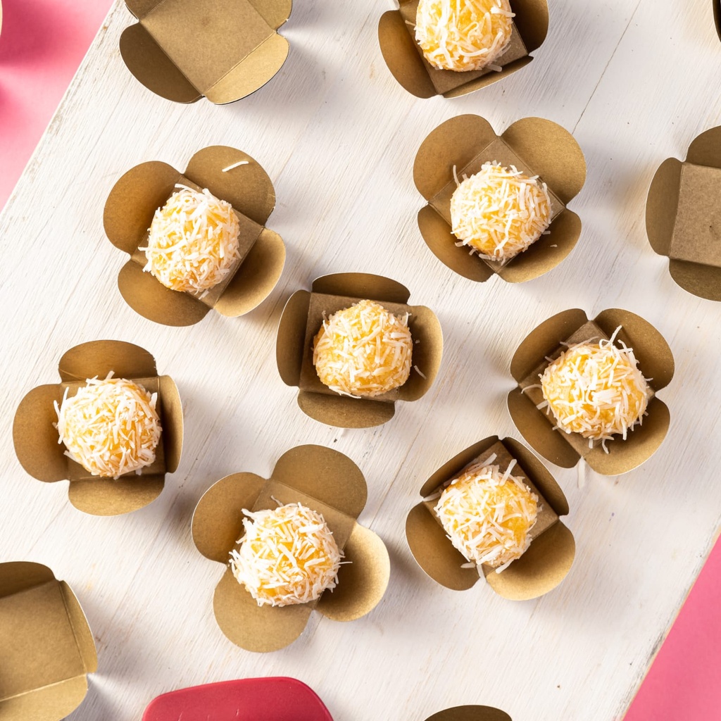 Coco com Damasco 25 Unidades Plant Based